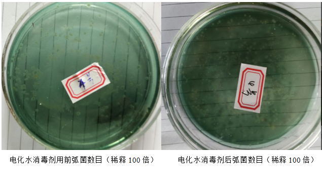 澳门新葡官网进入网站8883